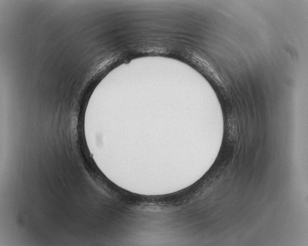 X0000116580538201001071216