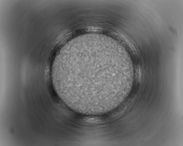 X0000116580557201001071216