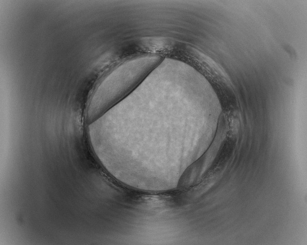 X0000116580558201001071216