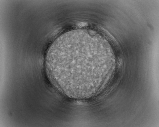 X0000116580565201001071216