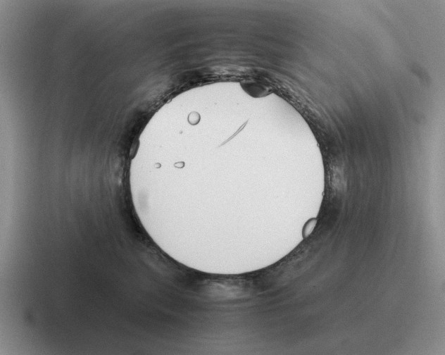 X0000116580567201001071216