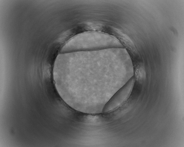 X0000116580570201001071216
