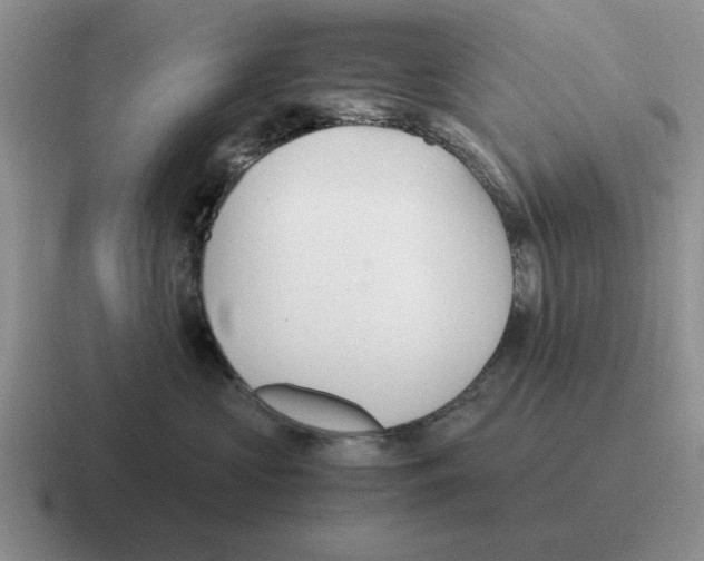 X0000116580573201001071216