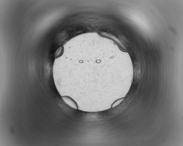 X0000116580574201001071216