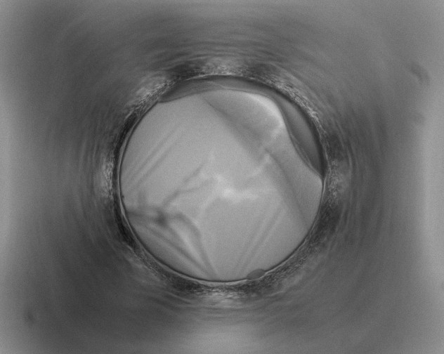 X0000116580585201001071216