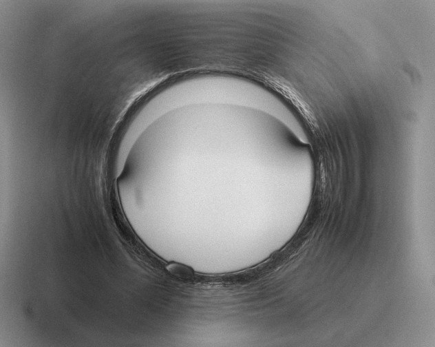 X0000116580588201001071216