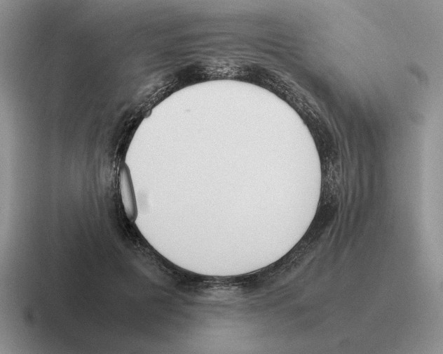 X0000116580601201001071215