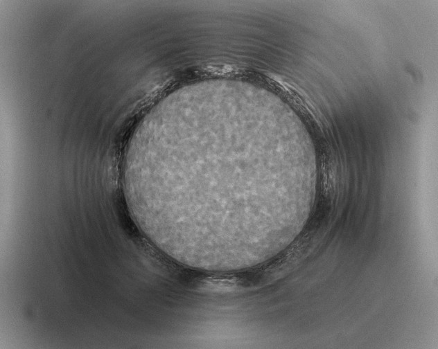 X0000116580606201001071215