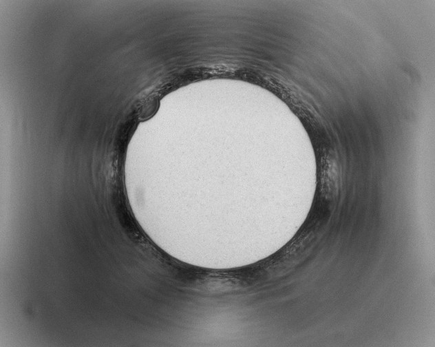 X0000116580608201001071215