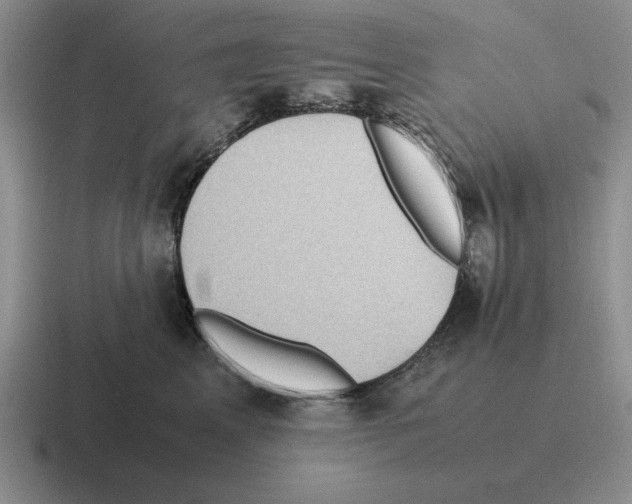 X0000116580617201001071215