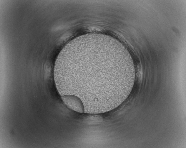 X0000116580619201001071215