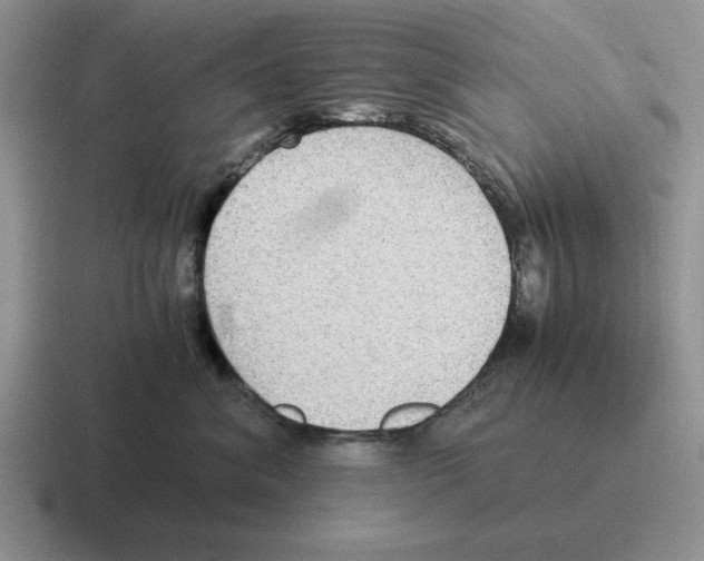 X0000116580620201001071215