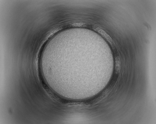 X0000116580626201001071214