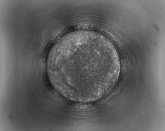 X0000116580661201001071215