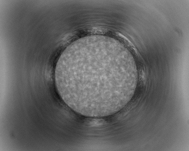 X0000116580663201001071215