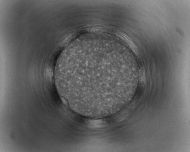 X0000116580669201001071215