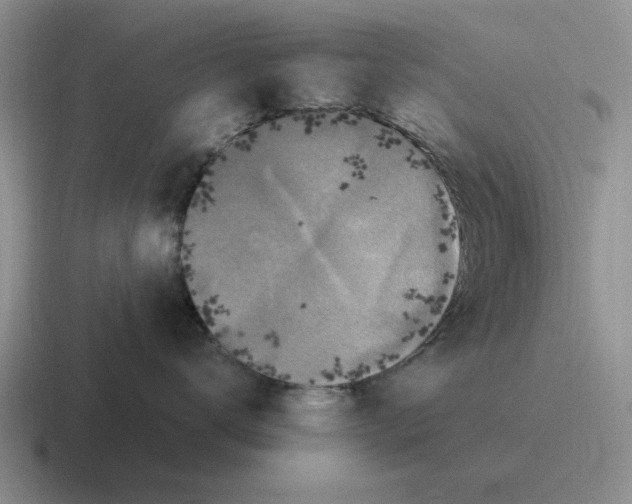 X0000116580672201001071215