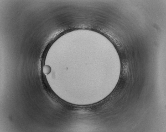 X0000116580678201001071214