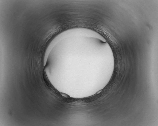 X0000116580696201001071214