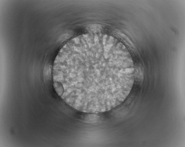 X0000116580717201001071214