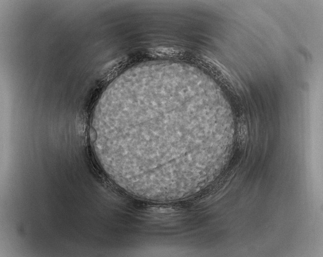 X0000116580749201001071214