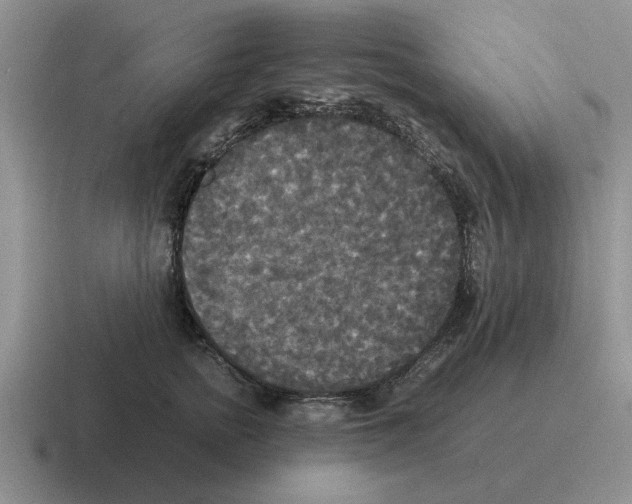 X0000116580758201001071214
