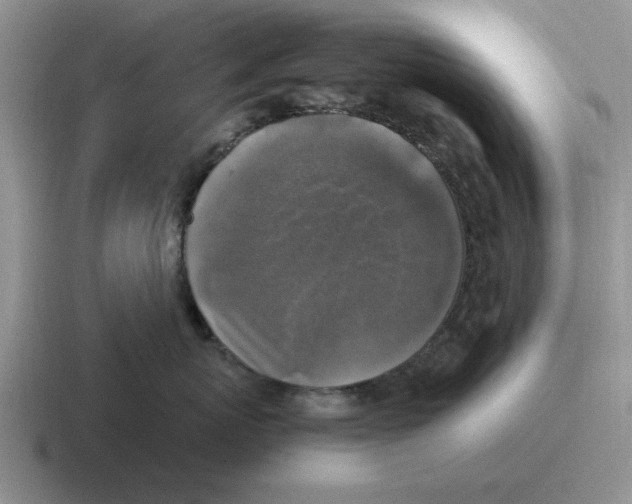 X0000116580767201001071214