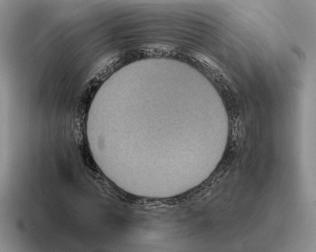 X0000116580774201001071213