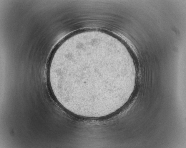 X0000116580783201001071213
