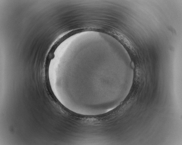 X0000116580784201001071213