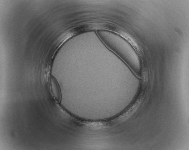 X0000116580801201001071213