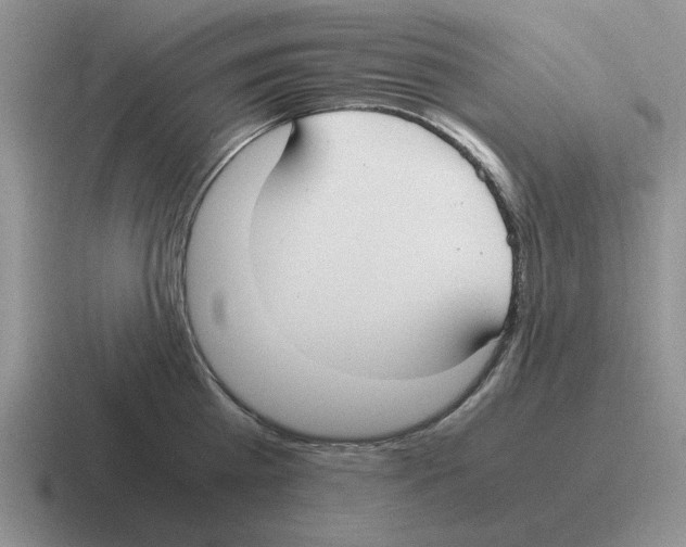 X0000116580809201001071213
