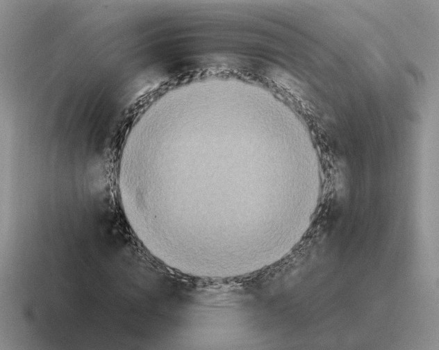 X0000116580824201001071212