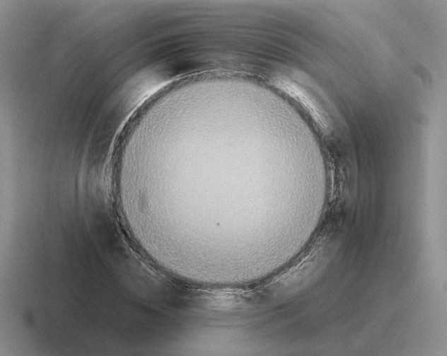 X0000116580828201001071212
