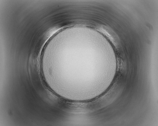 X0000116580836201001071212