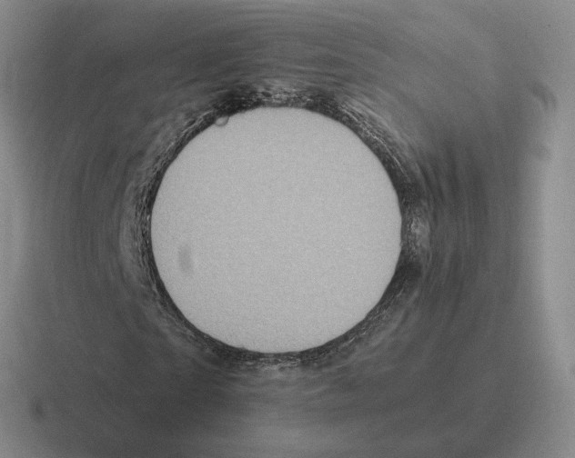X0000116580865201001071212