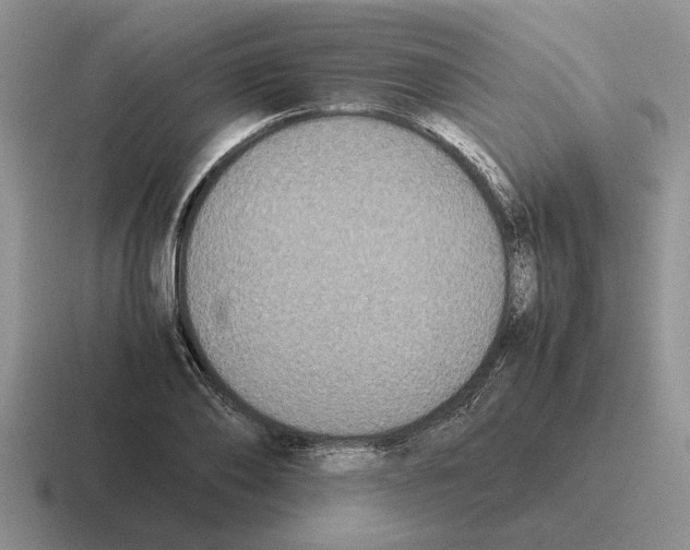 X0000116580886201001071212