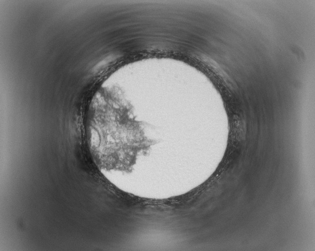 X0000116580918201001071211