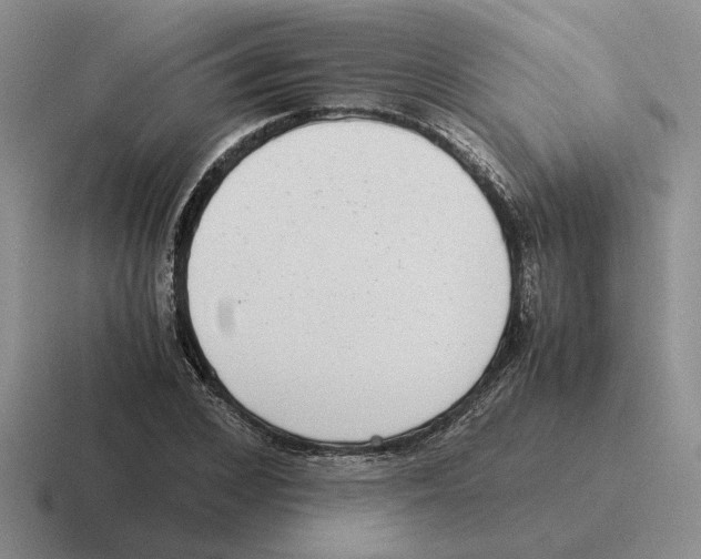 X0000116580976201001071211