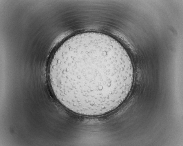 X0000116580978201001071211