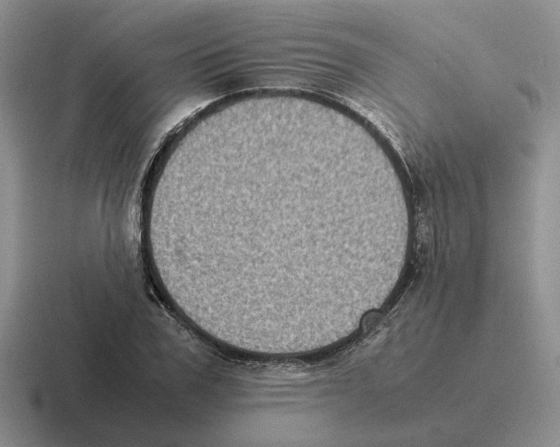 X0000116580979201001071211