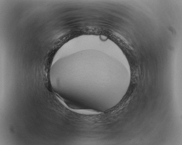 X0000116581013201001071210