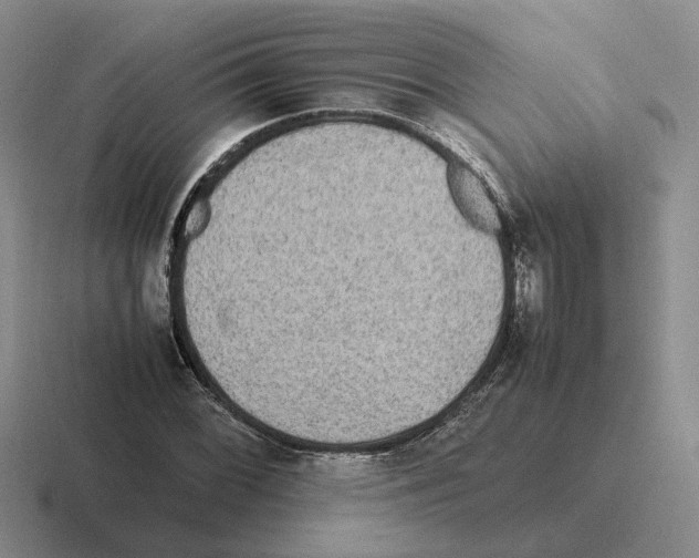 X0000116581068201001071209