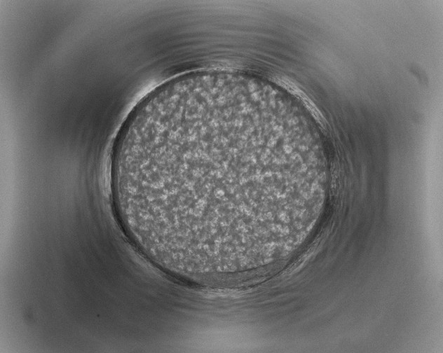 X0000116581083201001071209
