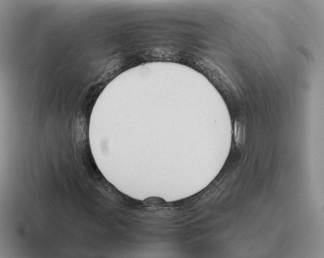 X0000116581107201001071208