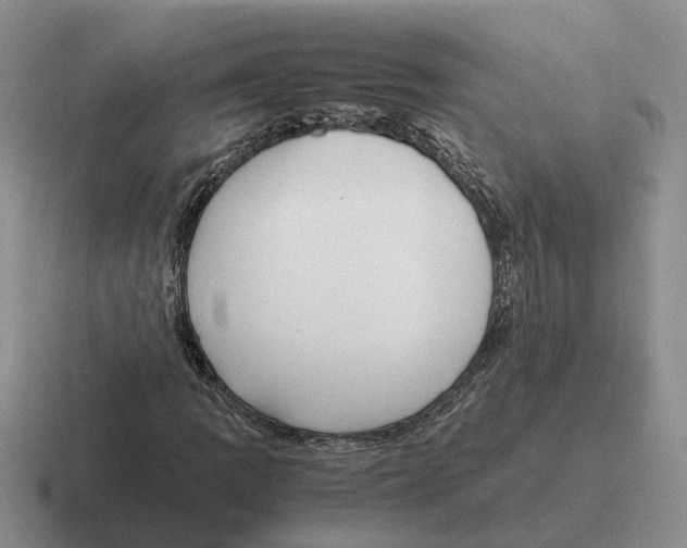 X0000116581109201001071208