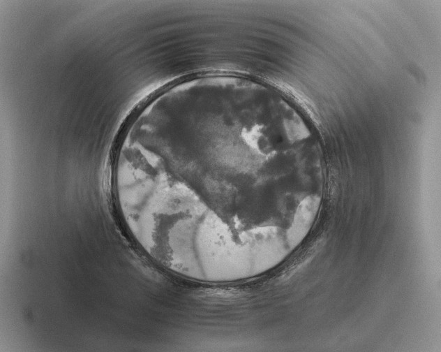 X0000116581125201001071209