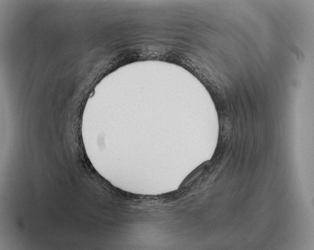 X0000116581153201001071208