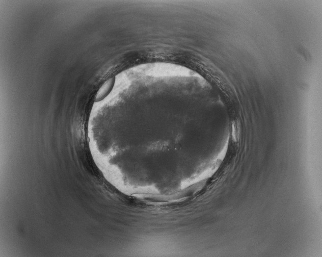 X0000116581155201001071208
