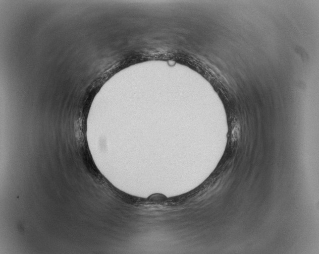 X0000116581156201001071208